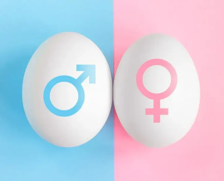 Gender Selection Cyprus