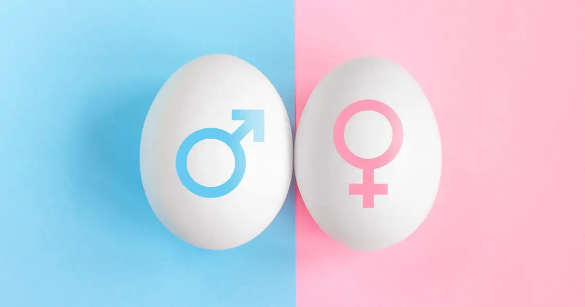 Gender Selection Cyprus